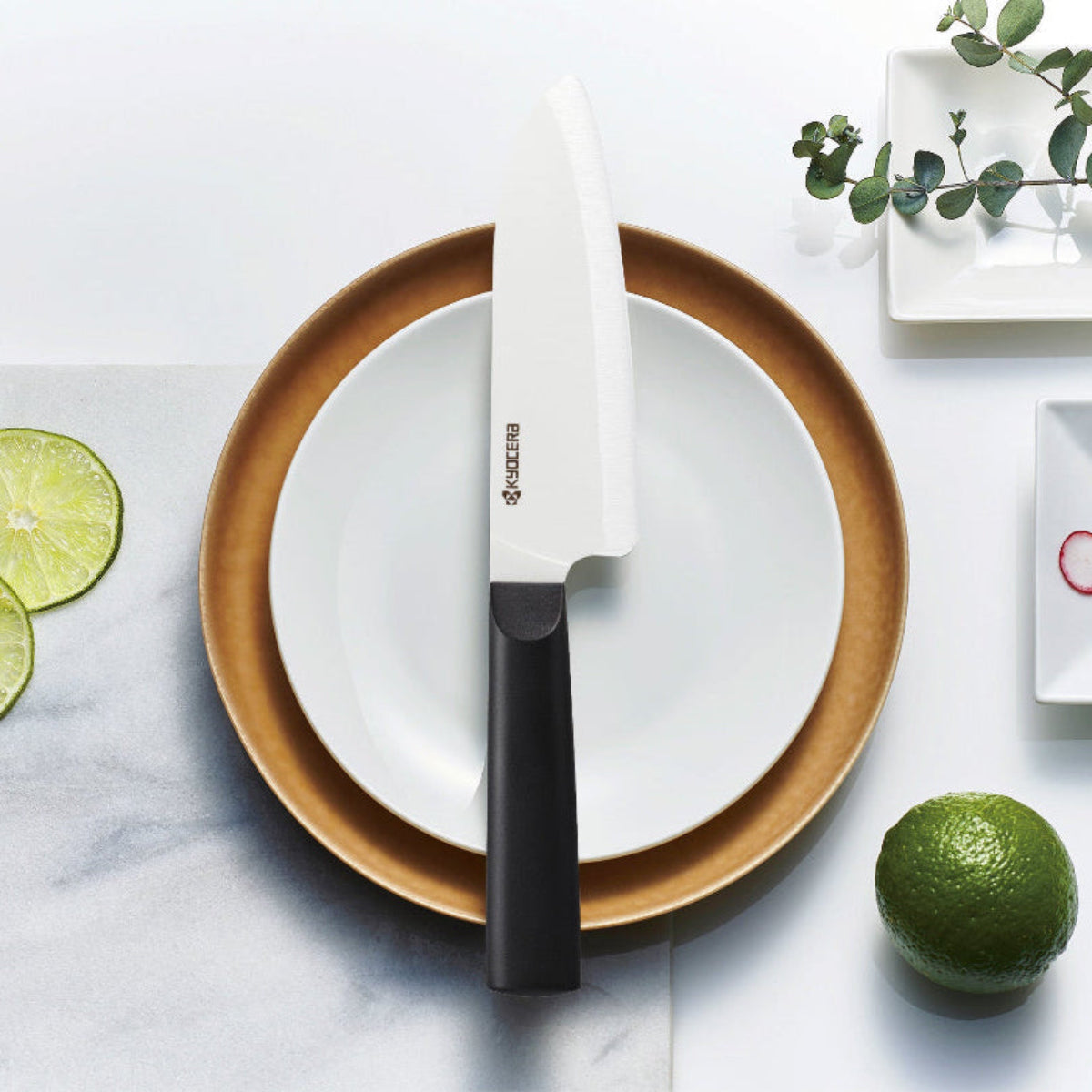 Knife on a plate with limes and a decorative plant on a marble surface