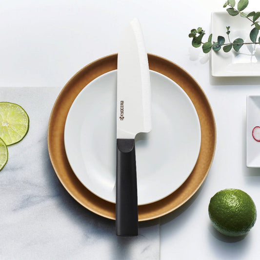 Knife on a plate with limes and a decorative plant on a marble surface